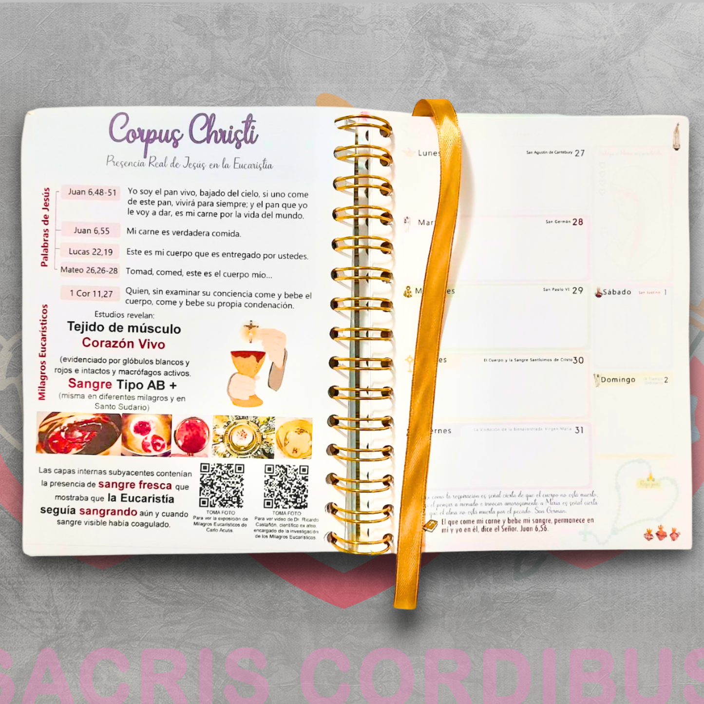 📔✨ Agenda Católica - Dos Días - 2026 – Sacris Cordibus 💒🌸