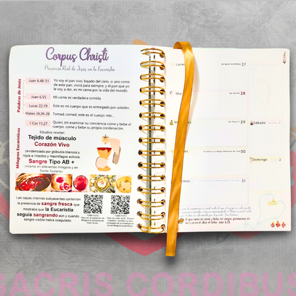 📔✨ Agenda Católica - Dos Días - 2026 – Sacris Cordibus 💒🌸