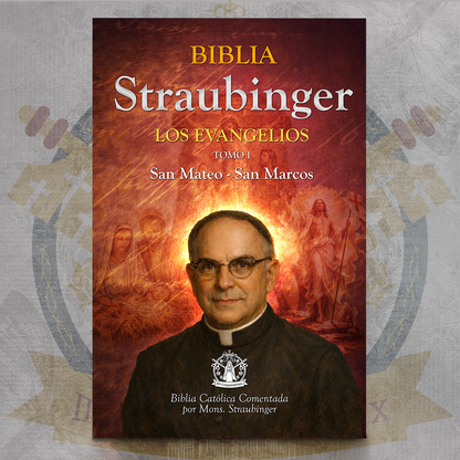Biblia Straubinger- Los Evangelios I - San Mateo & San Marcos  ✝️📘