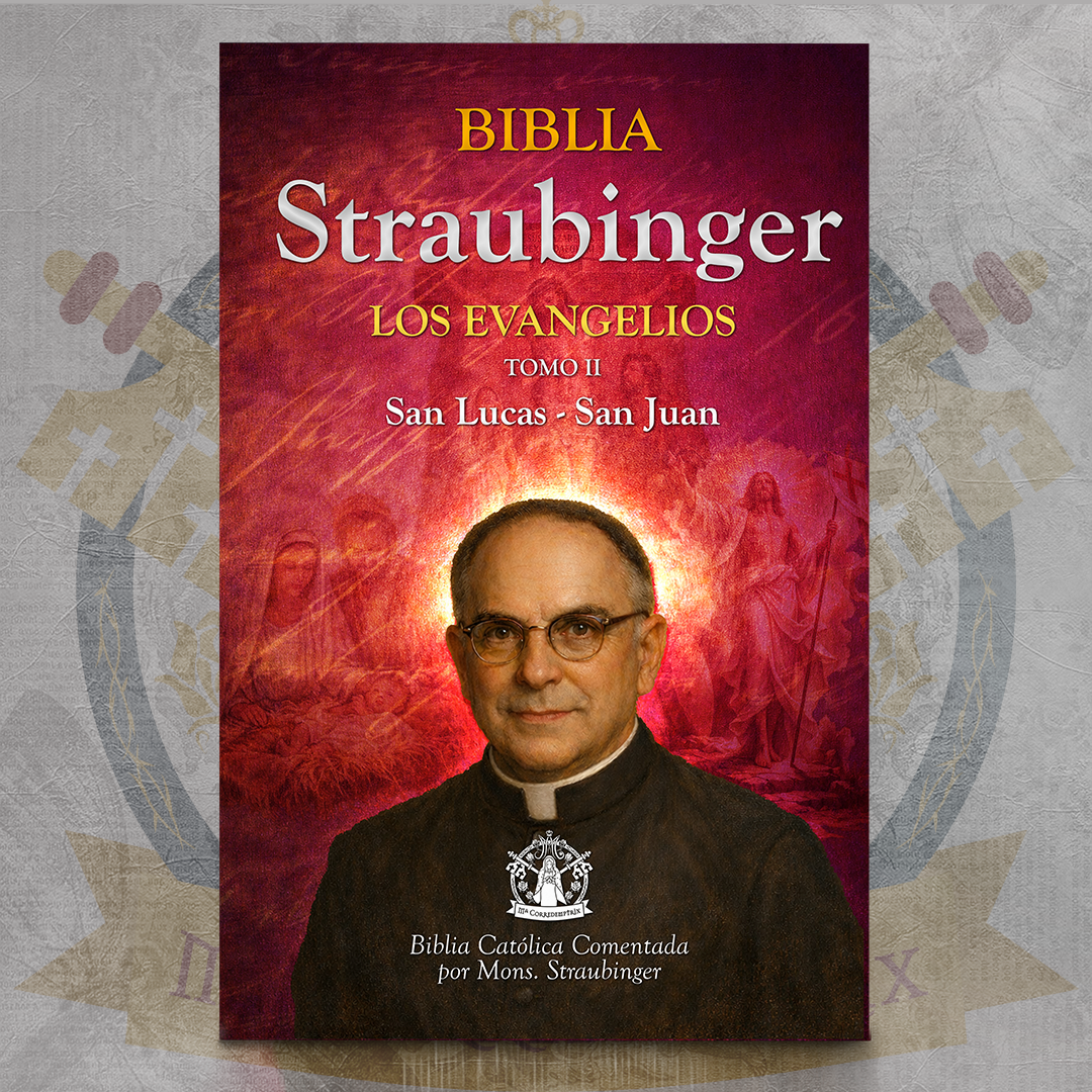 Biblia Straubinger - Los Evangelios II - San Lucas & San Juan  ✝️📘