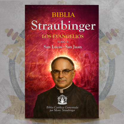 Biblia Straubinger - Los Evangelios II - San Lucas & San Juan  ✝️📘