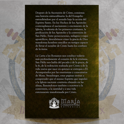 Biblia Straubinger - Hechos III - Hechos & Romanos  ✝️📘