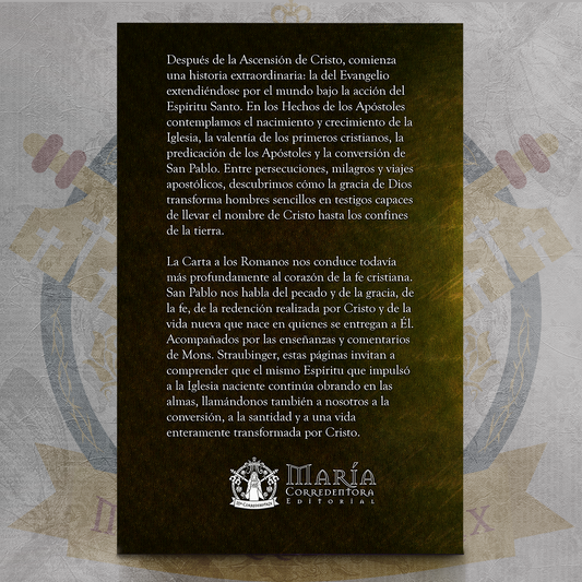 Biblia Straubinger - Hechos III - Hechos & Romanos  ✝️📘