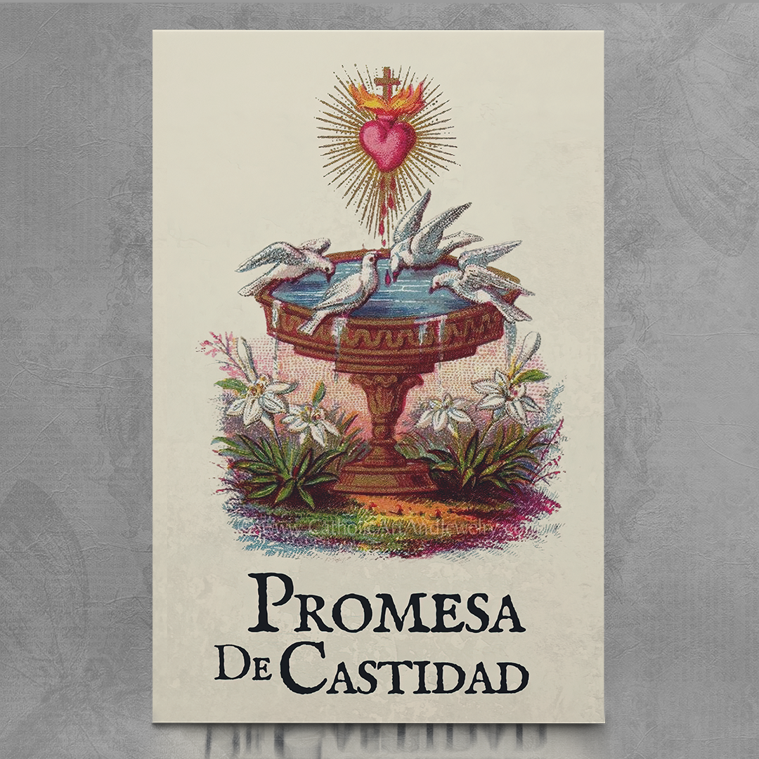 Promesa de Castidad