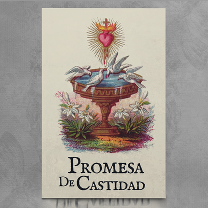 Promesa de Castidad – Rey David García & María José Tuárez