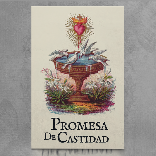 Promesa de Castidad